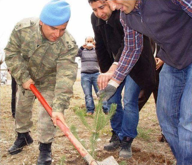 Gürpınar’da Ağaçlandırma Çalışmaları