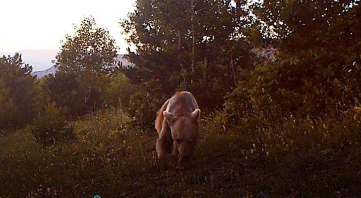 Burası Afrika değil Giresun!  G2