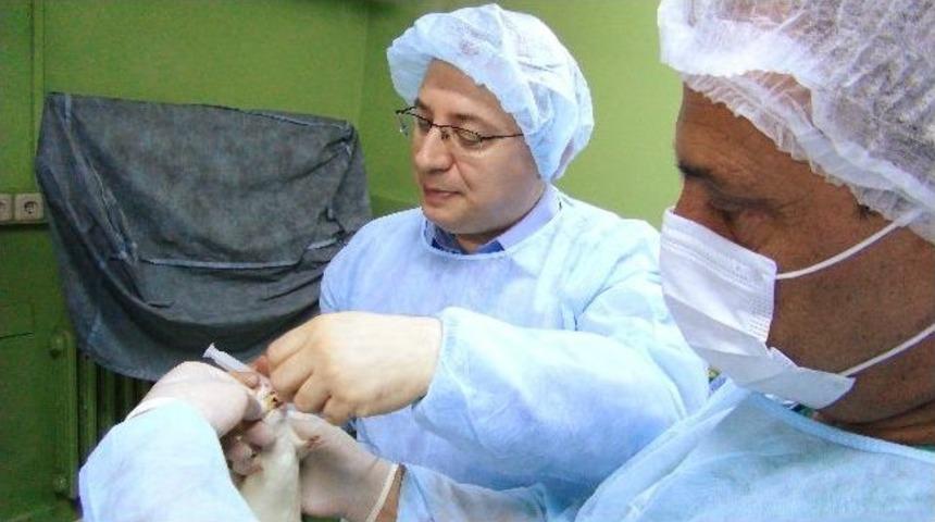 (&ouml;zel Haber) 4 Bin Deney Hayvanı &Uuml;zerinde Bilimsel &Ccedil;alışma Yapılıyor