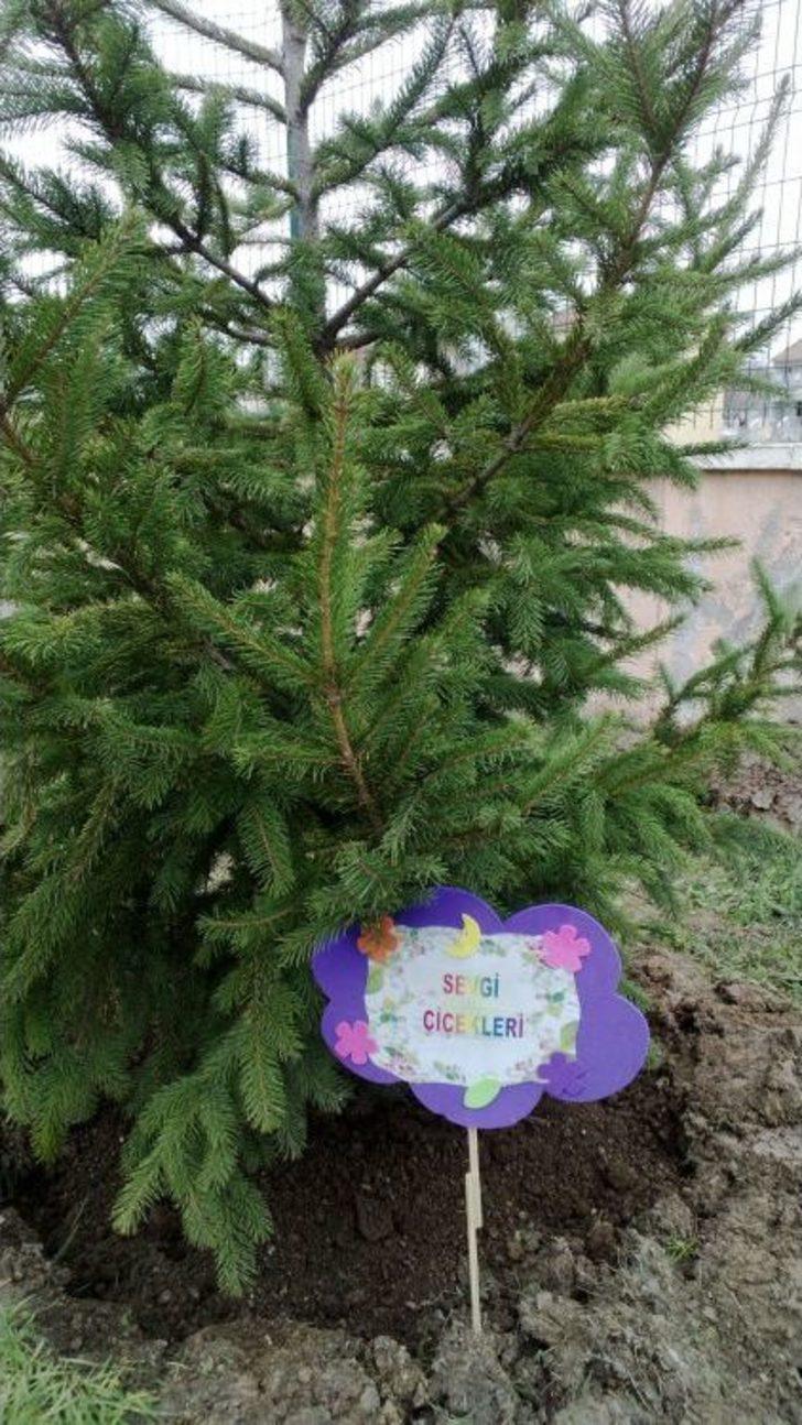 Miniklerin De Dikili Ağacı Oldu G1