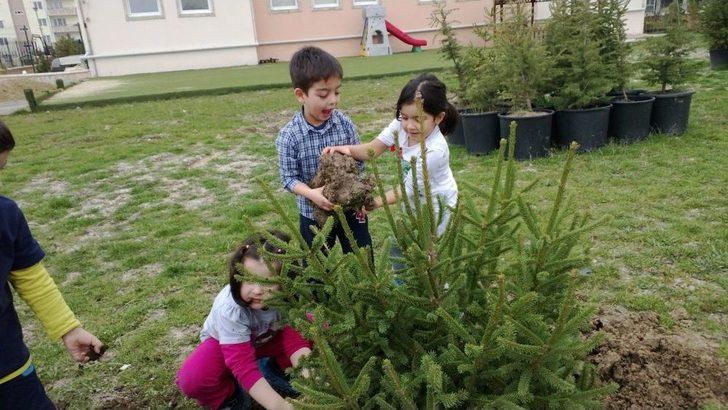 Miniklerin De Dikili Ağacı Oldu G3