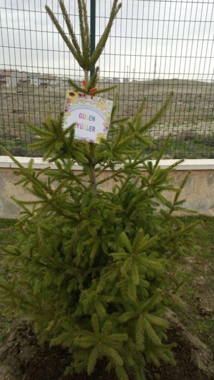 Miniklerin De Dikili Ağacı Oldu G5