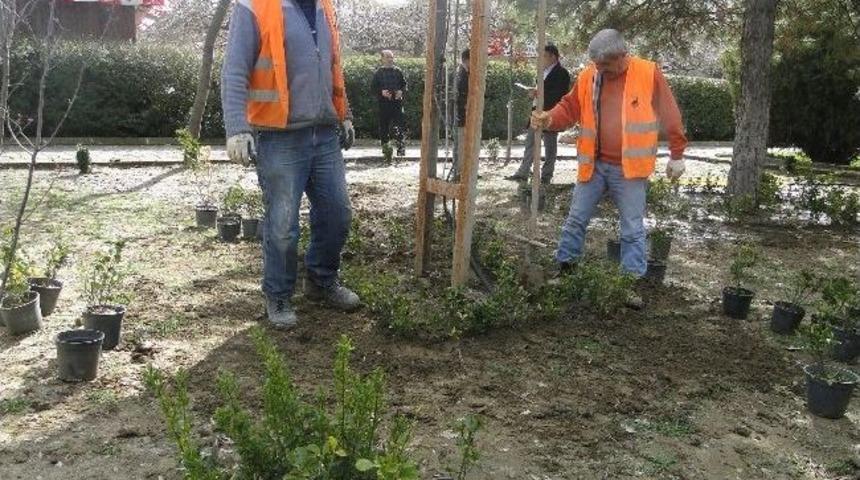 A. İhsan Emralioğlu Parkına Makyaj