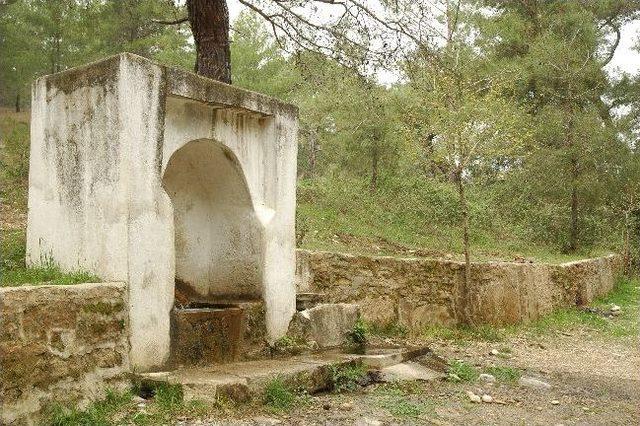 Manavgat'ın Köylerinde Çeşmelerin Etrafını Ağaçlandırılıyor