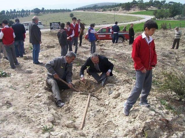 Öğrenciler Fidan Dikti