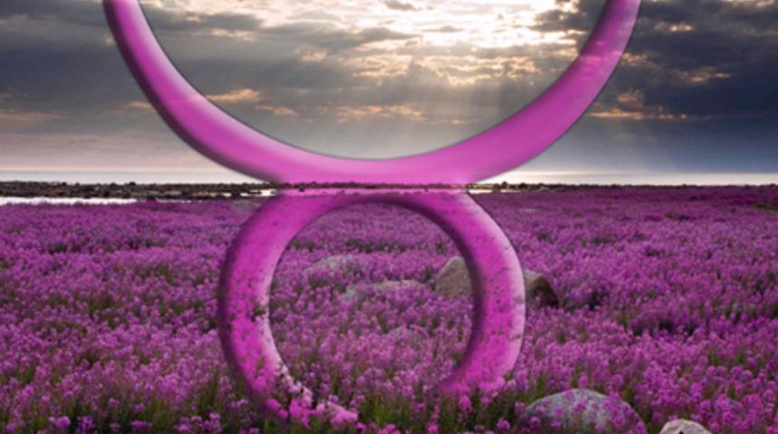 G&uuml;neş Boğa burcunda