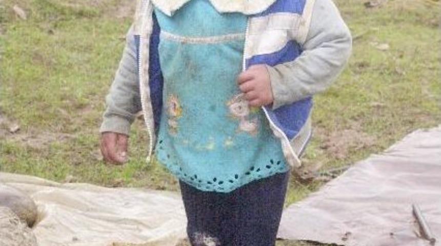 Yaşamın Renkleri Savaşın &Ouml;teki Y&uuml;z&uuml; Kitabı Anıları Tazeledi