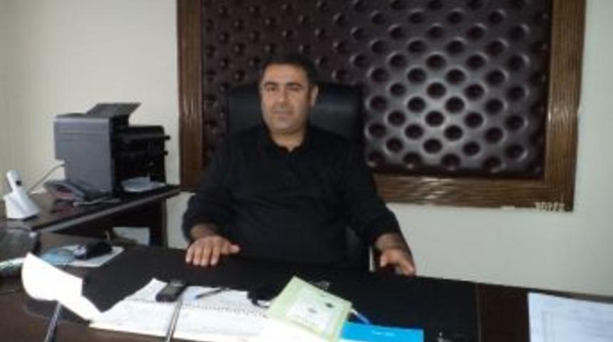 Varto&rsquo;da Ana&ccedil; Koyun Ke&ccedil;i Destekleme Listeleri Askıya &Ccedil;ıkarıldı