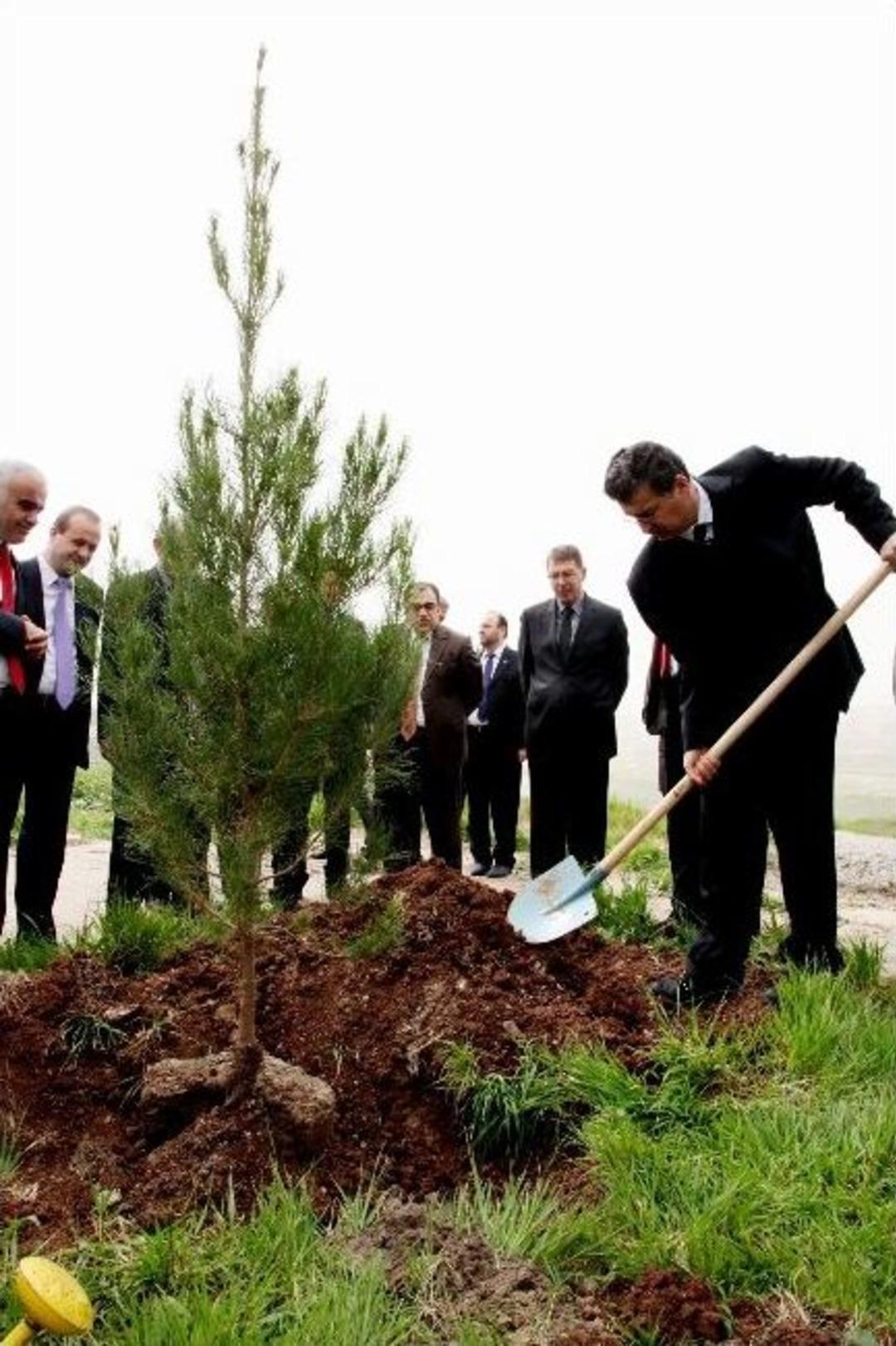 Şanlıurfa&rsquo;da &ldquo;orman Haftası&rdquo; Kutlandı