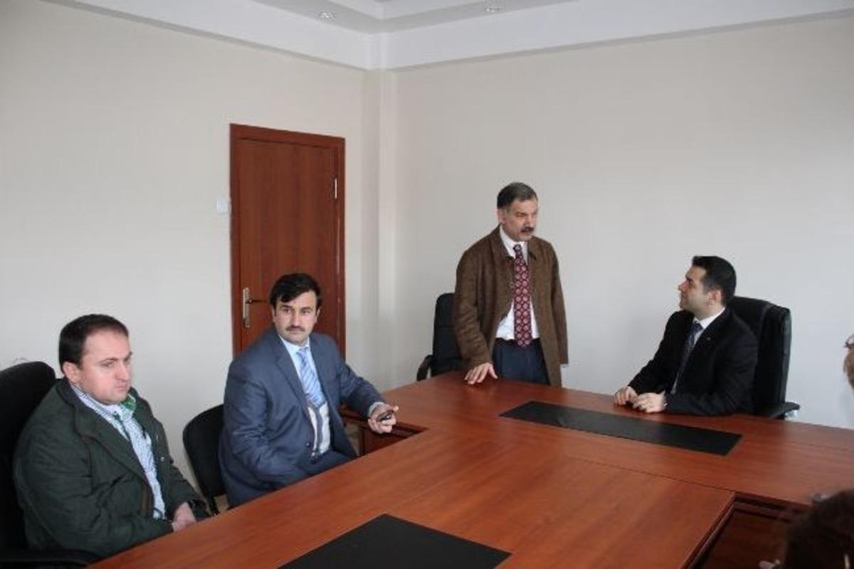 Danimarkalılar Kumru&rsquo;yu Sevdi