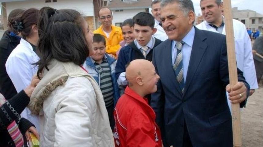 &Ccedil;am Fidanları Toprakla Buluştu