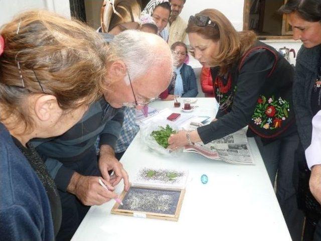 Ödemiş’te Sözleşmeli İpekböceği Üretimi Yaygınlaşıyor