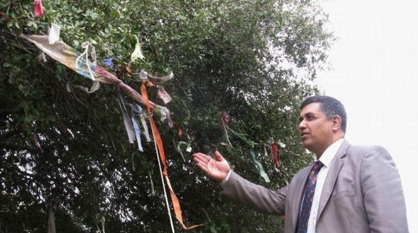 Araban M&uuml;ft&uuml;s&uuml; Sevin&ccedil; Hurafelere Karşı Uyardı