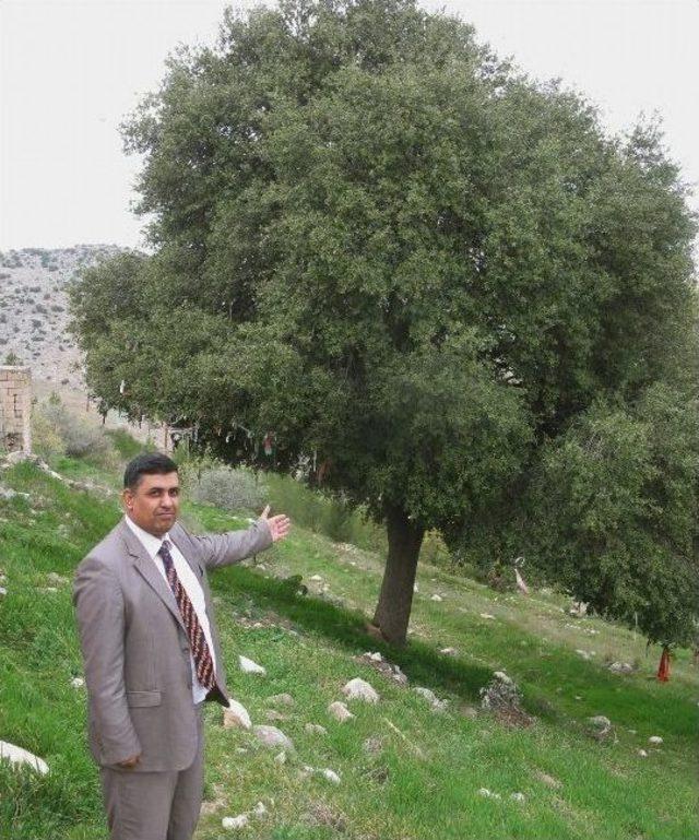 Araban Müftüsü Sevinç Hurafelere Karşı Uyardı 1