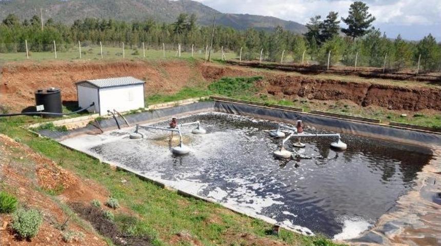 &Ccedil;&ouml;p Sorununa Belediye Ek Koydu