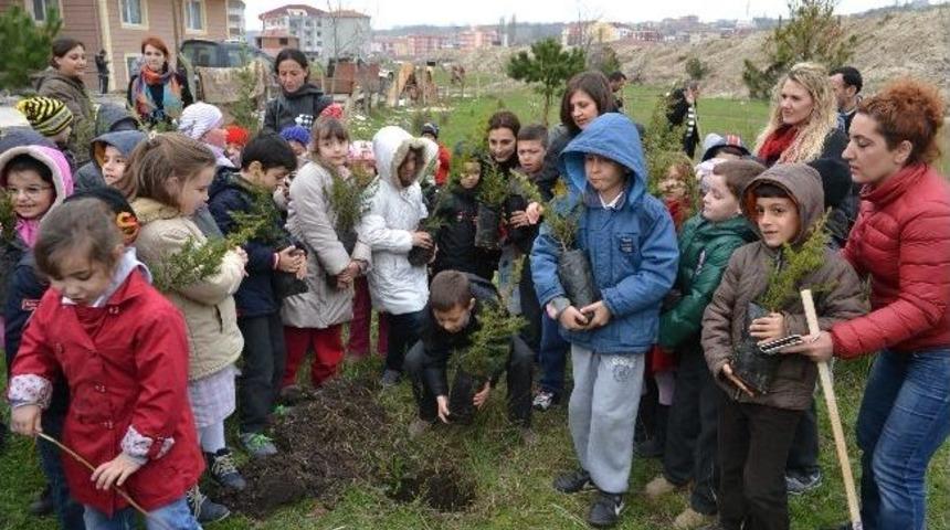Minik &Ouml;ğrenciler 50 Adet Fıstık &Ccedil;amı Dikti
