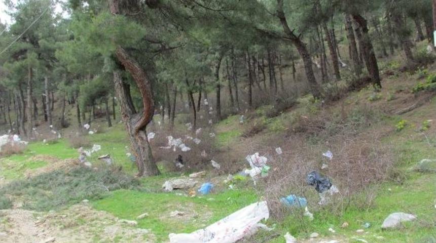 Lodos &Ccedil;&ouml;pleri Ormanlık Alana Yığdı