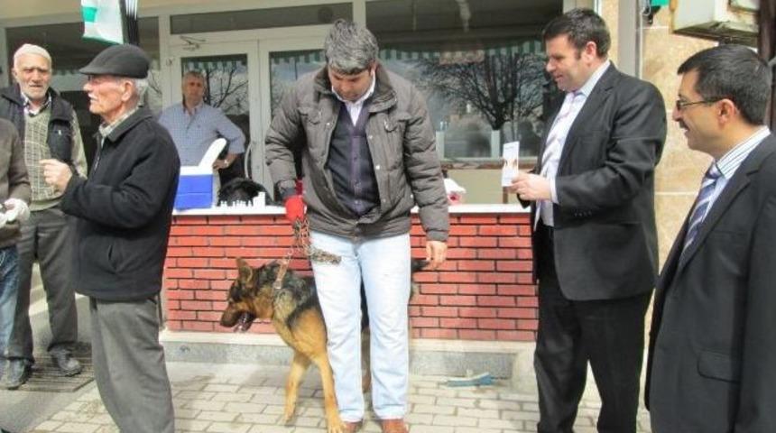 İneg&ouml;l&rsquo;de Evcil Hayvanlara Kuduz Aşısı