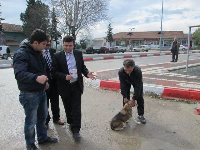 İnegöl’de Evcil Hayvanlara Kuduz Aşısı