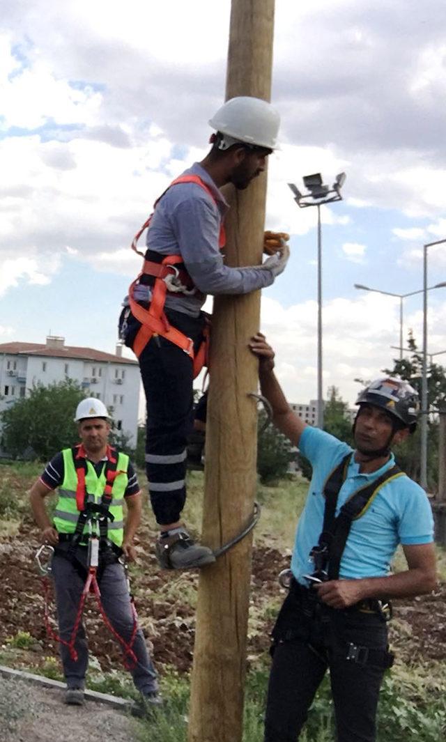 Dicle Elektrik İSG uzmanlarına, YÖK onaylı eğitim verildi