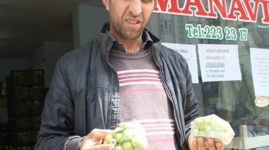 (&ouml;zel Haber) Siirt'te Erik Gramla Satılıyor