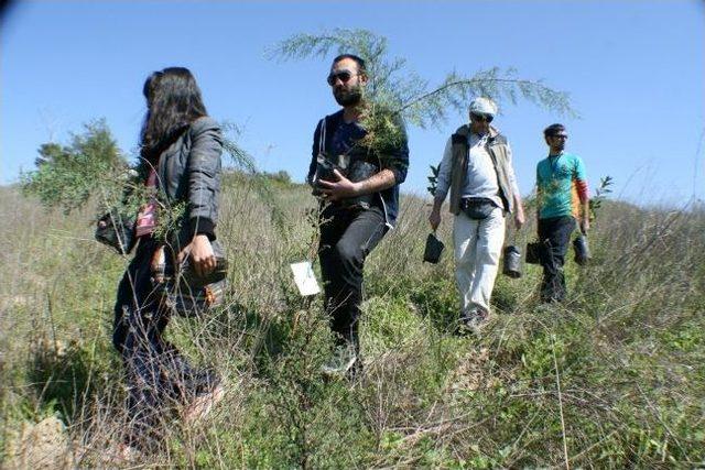 Doğa Severlerden "bahara Hoşgeldin" Etkinliği 1
