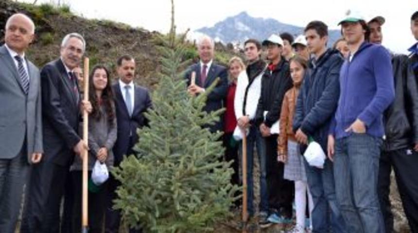 Spil Dağı'nda Yanan 77 Hektar Alan Ağa&ccedil;landırılıyor