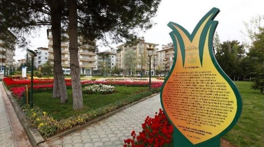 B&uuml;y&uuml;kşehir&rsquo;den 1. Ulusal Fotoğraf Yarışması