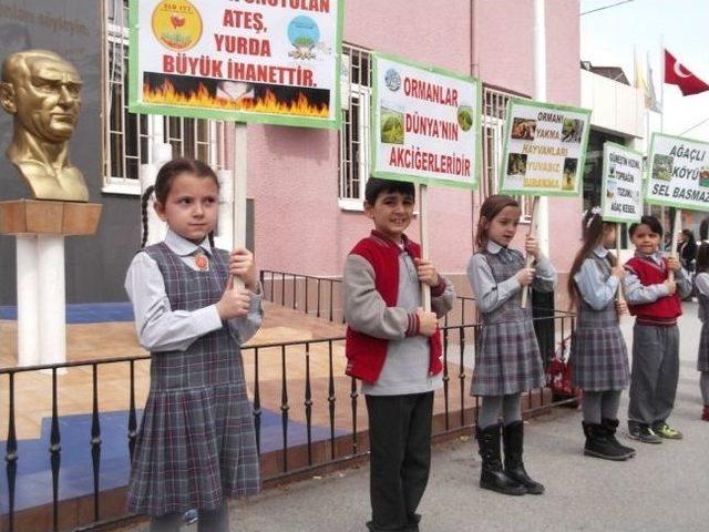 Miniklerin Orman Ve Doğa Sevgisi 1