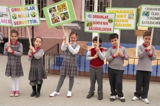 Miniklerin Orman Ve Doğa Sevgisi 2