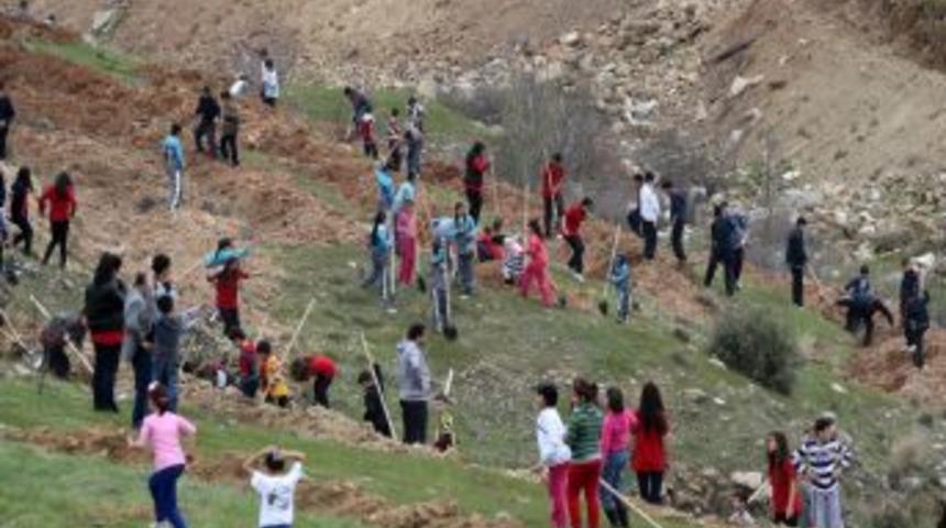 Denizli&rsquo;de Herkesin Dikili Bir Ağacı Olacak