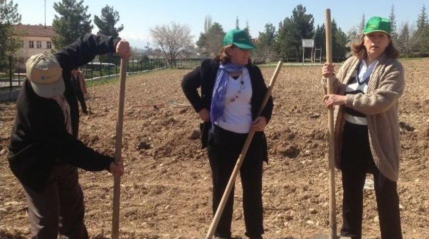 Sultansuyu Tigem&rsquo;e Fidan Dikildi