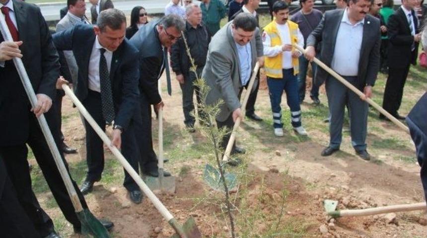 Honaz'da Memur-sen&rsquo;den Hatıra Ormanı