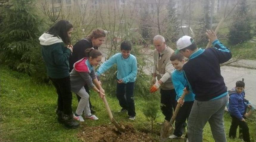 D&uuml;zce 23 Nisan İlkokulu'na Fidan Dikimi