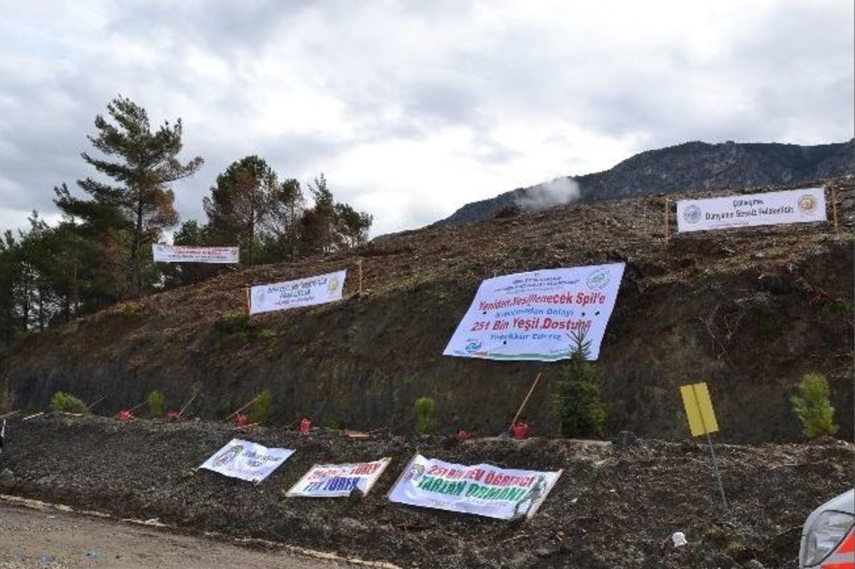 Manisalı Dev &Ouml;ğrenciler, Yanan Spil Dağı&rsquo;na Fidan Dikti