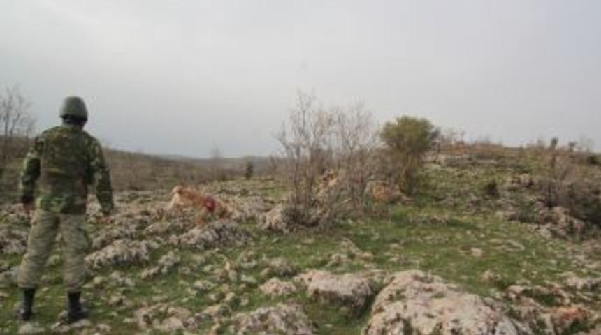Mardin-Diyarbakır Kara Yolunda Bulunan Patlayıcı Imha Edildi