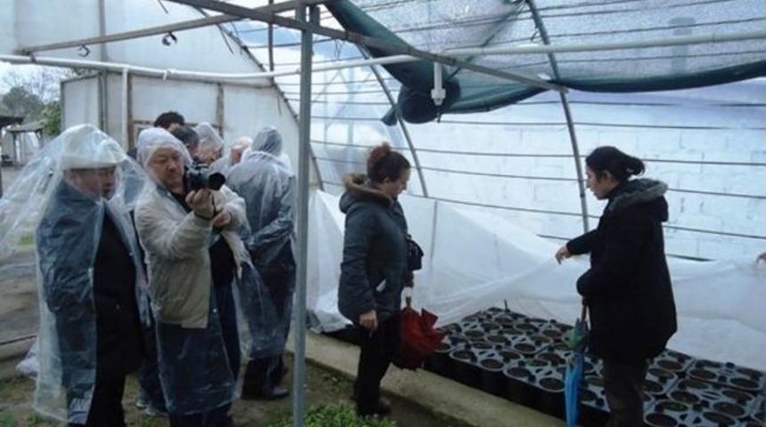 Kırgızlar T&uuml;rk Fidancılığını İnceliyor