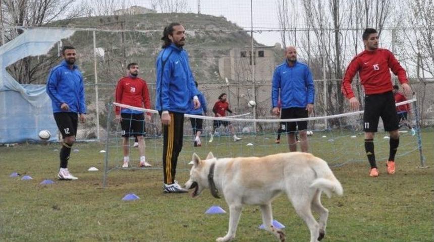 Spor Toto 2. Lig