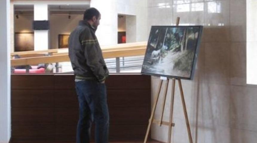 At Severleri Buluşturan Sergi