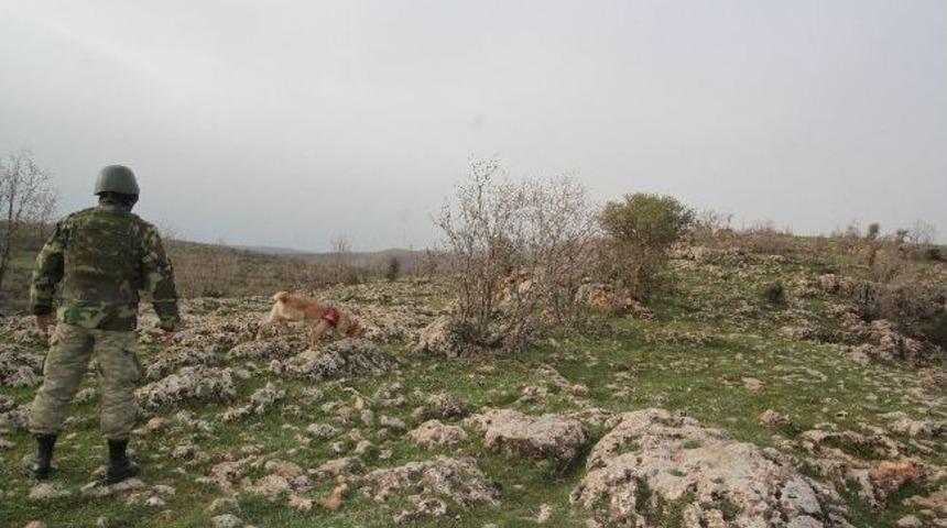 Mardin&rsquo;de Bulunan 25 Kilogram Patlayıcı İmha Edildi