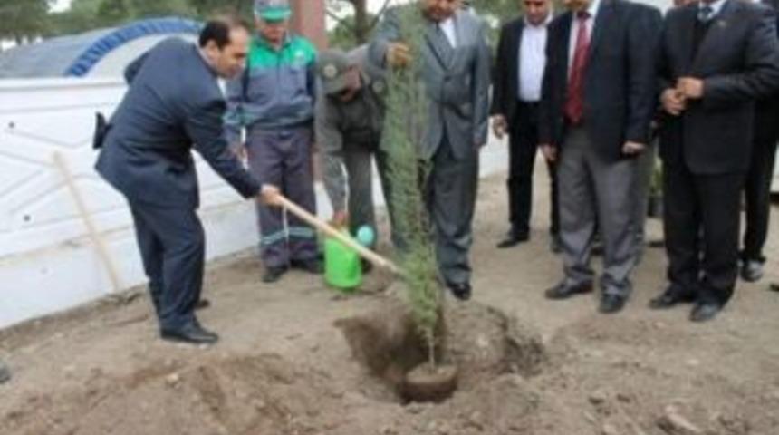 Orman Haftası Kutlama Programı Yapıldı