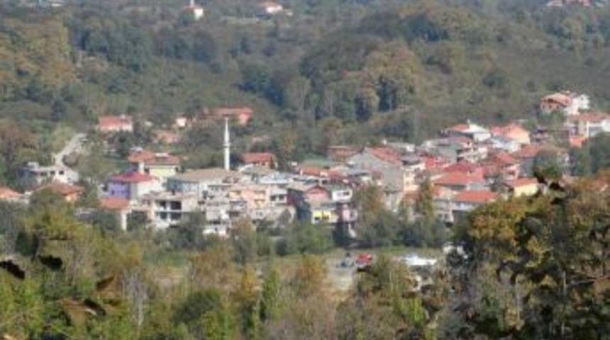 Mollabey Alaplı'nın 50.K&ouml;y&uuml; oldu