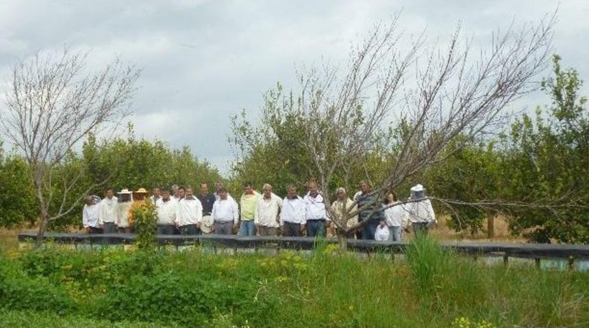 Ortaca&rsquo;da Arıcılık Kursu