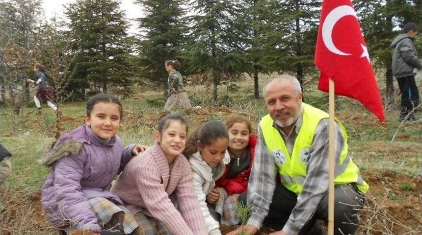 Kırıkkale'de Fidan Dikimi