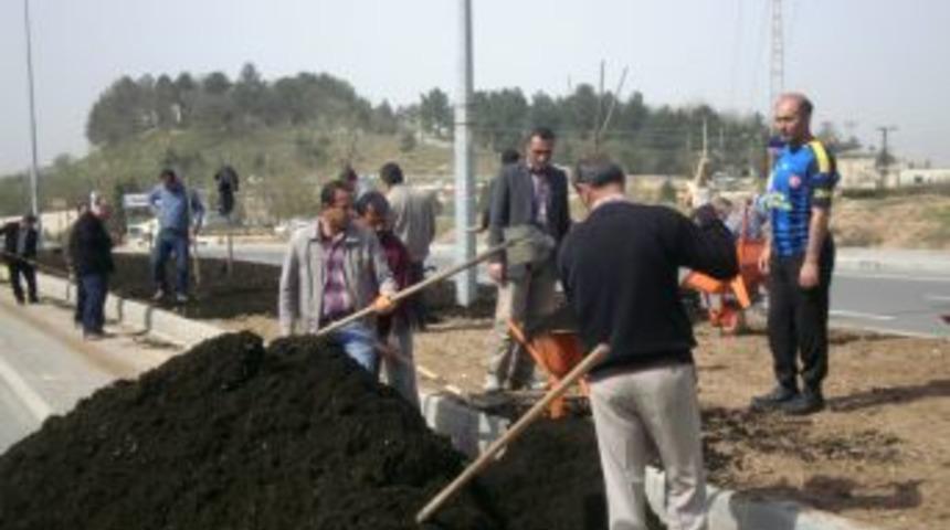 Toprak Olan Yer Yeşillenecek