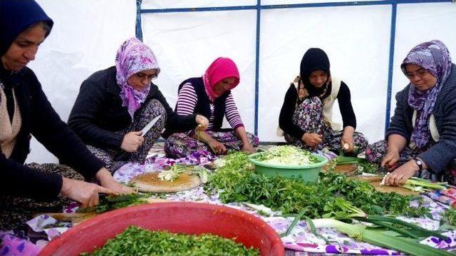 Anneler Okul İçin, Gözleme Yaptı. 1