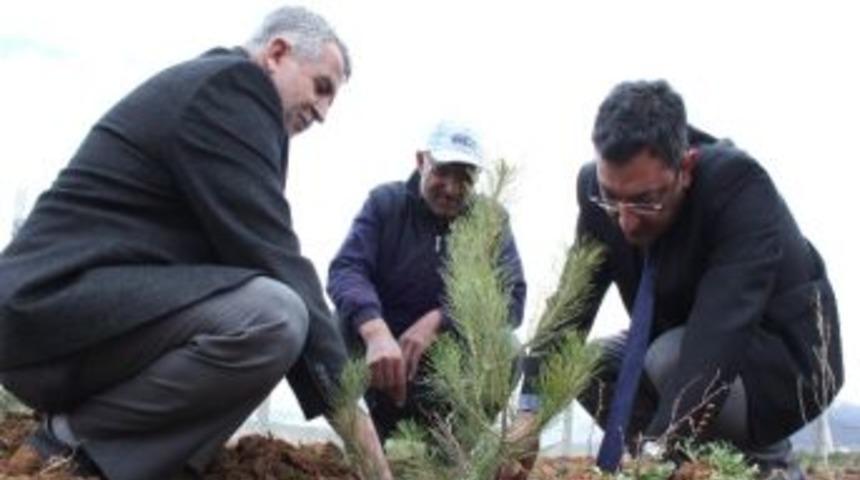 Kompen&rsquo;de Her &Ccedil;alışana Bir Fidan