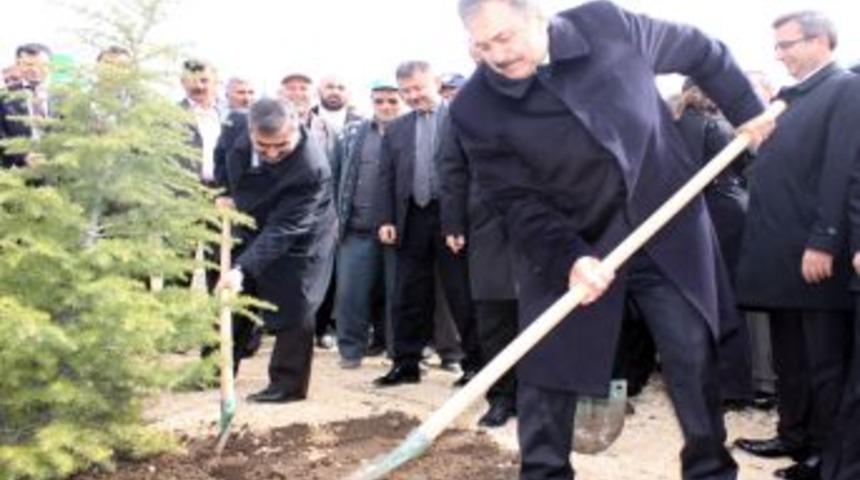 Bakan Eroğlu: 13 Milyon Ağa&ccedil;la 'Meyve Ormanı' Oluşturacağız