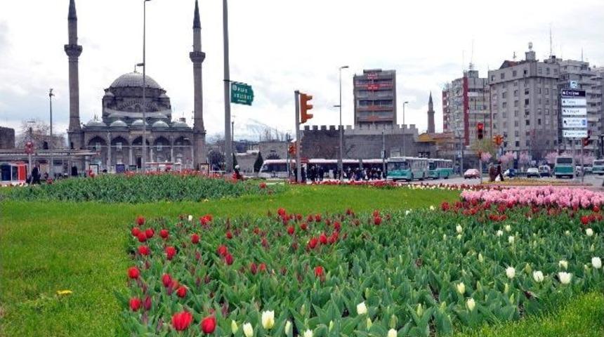 Kayseri'de Lale Devri
