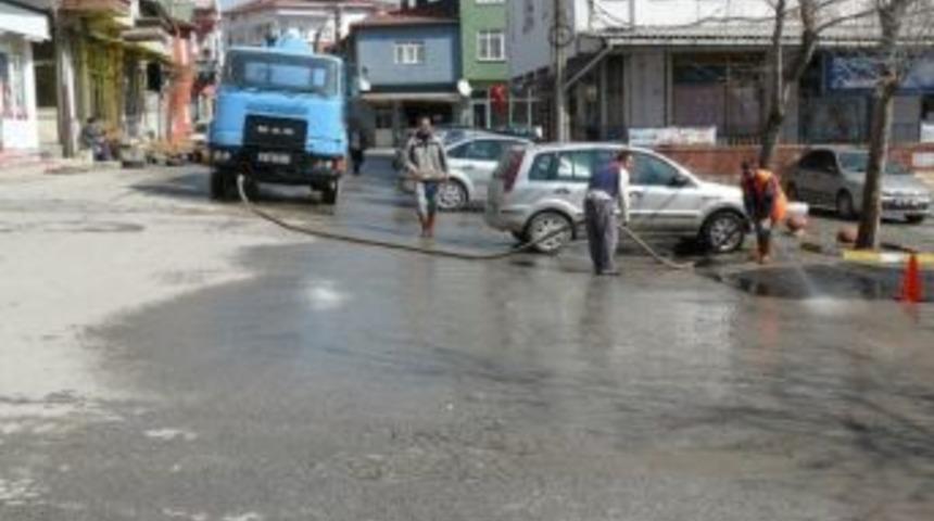 Domani&ccedil;'te Bahar Temizliği